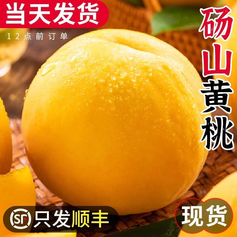 【顺丰包邮】正宗爆甜黄桃砀山黄桃当季新鲜水果现摘桃子水蜜桃脆甜