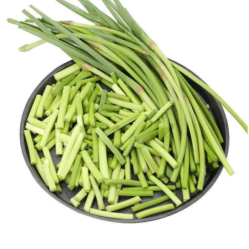 当季新鲜红帽蒜苔掐头去尾短蒜苔