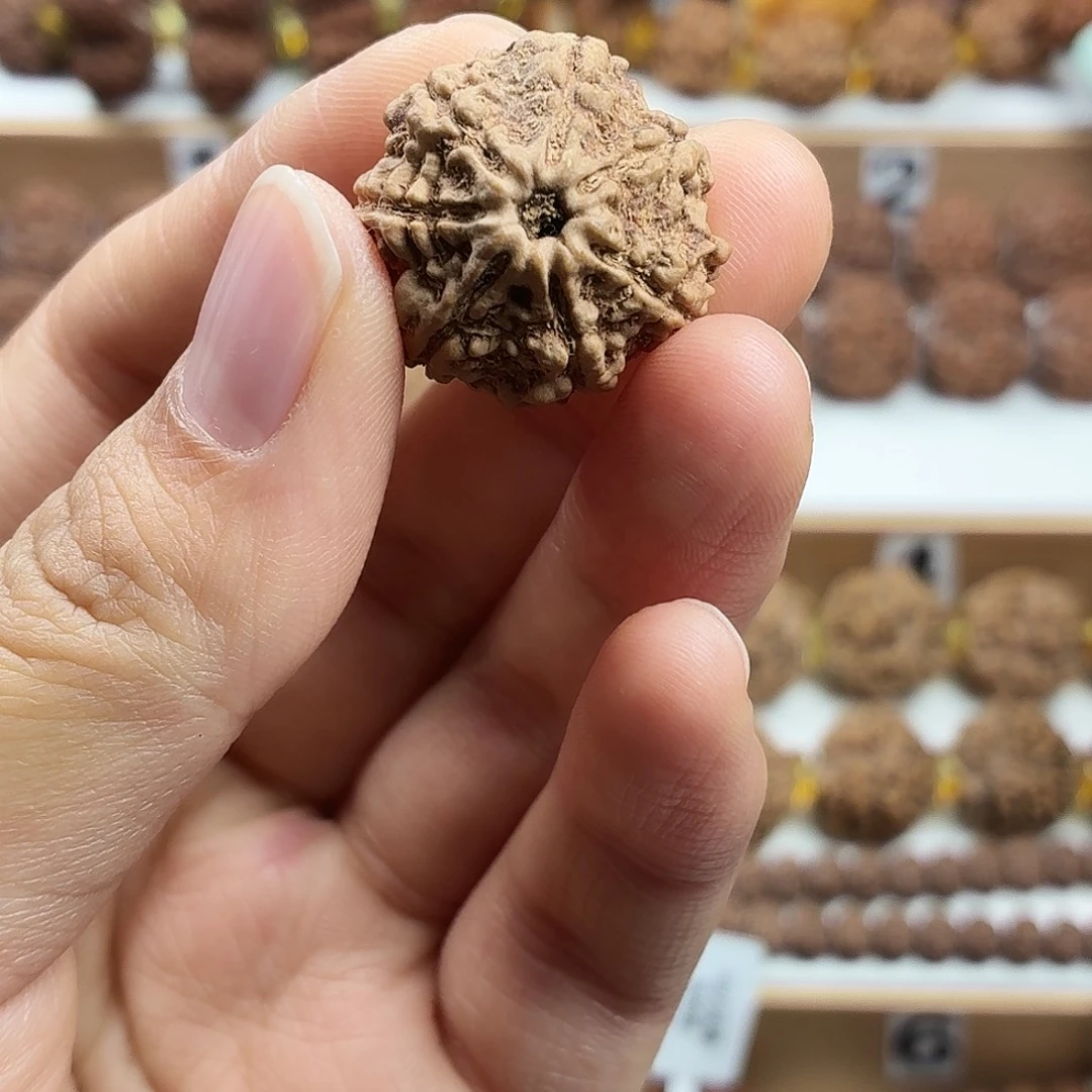 手串金刚菩提稀有精品7瓣铁籽