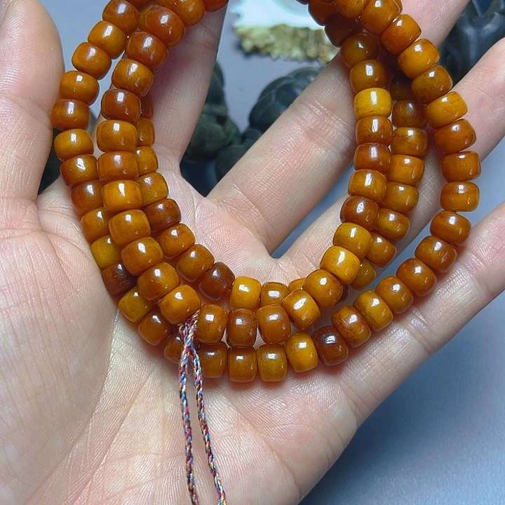 大果紫檀（缅甸花梨）