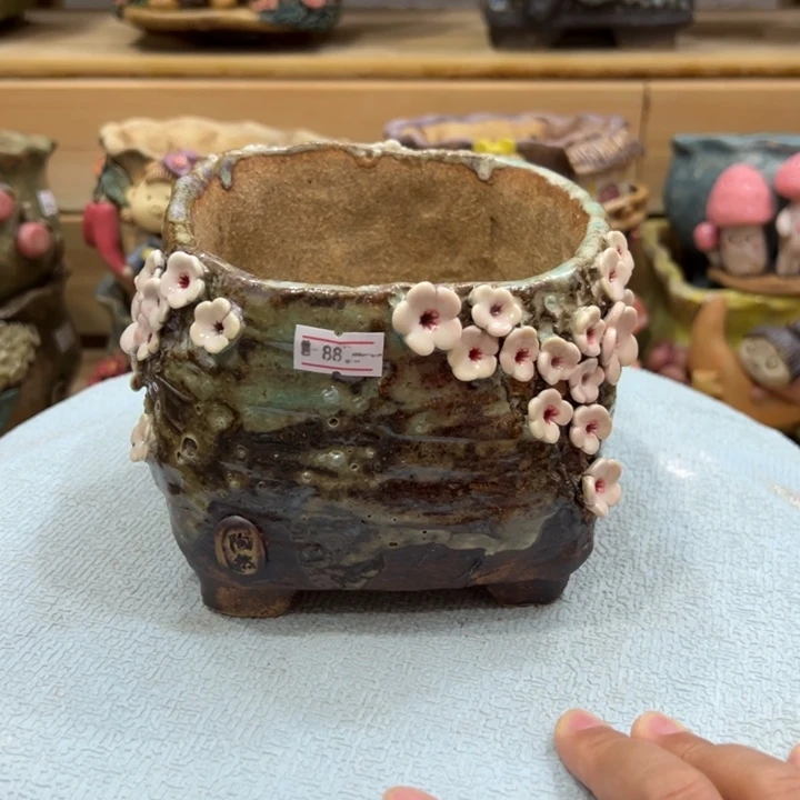 陶然多肉花盆百搭