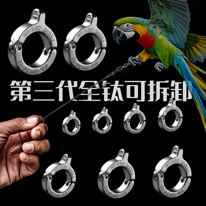 新款全钛合金鸟脚环活扣不伤脚专用折衷灰鹦鹉玄凤八哥类放飞脚链