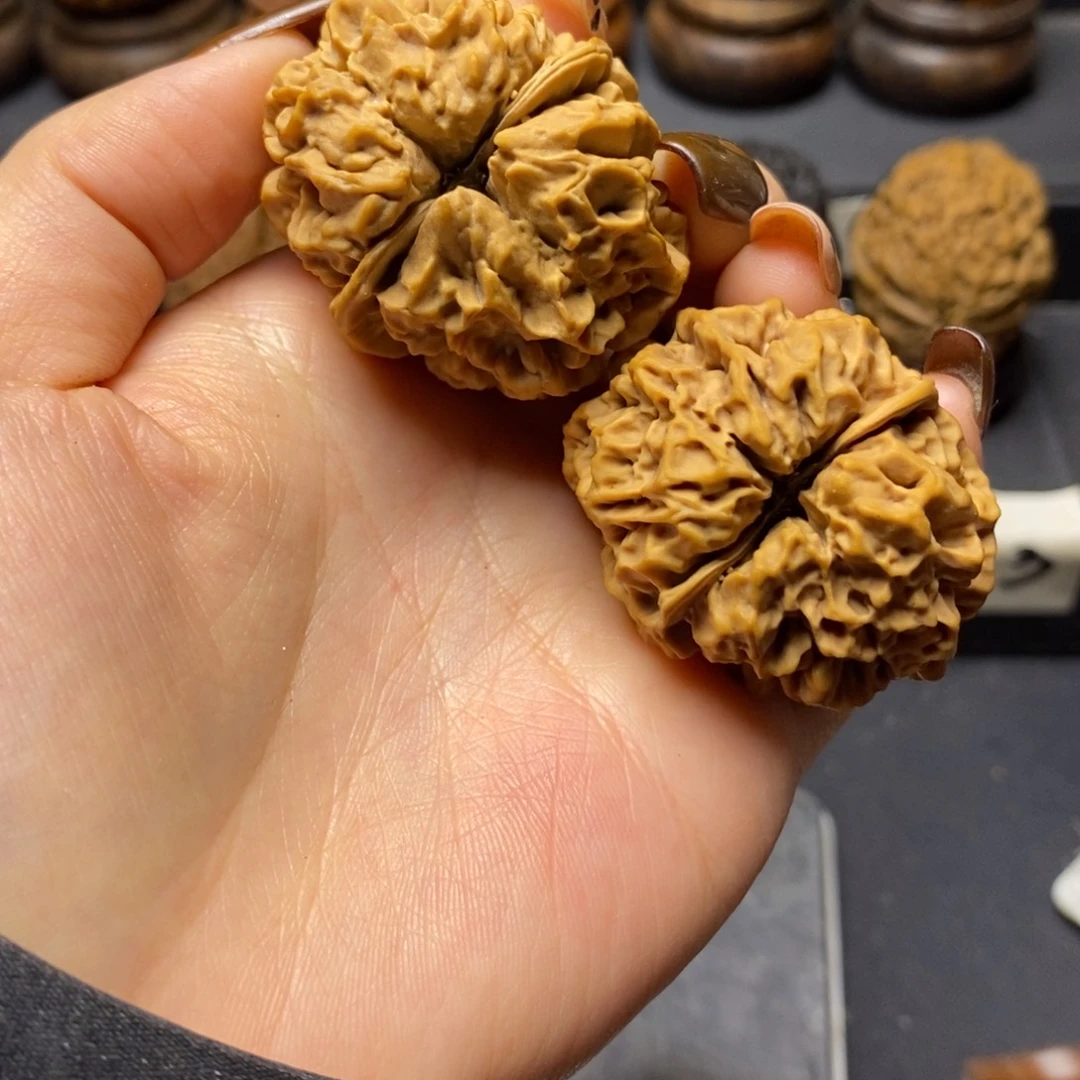 秋***水舍利子。