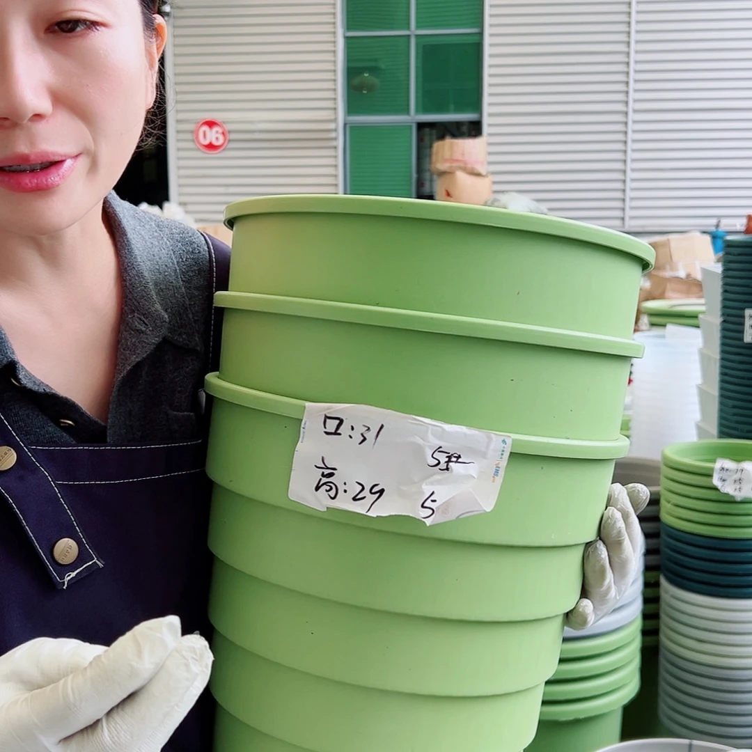 多孔盆5#果绿3个无托