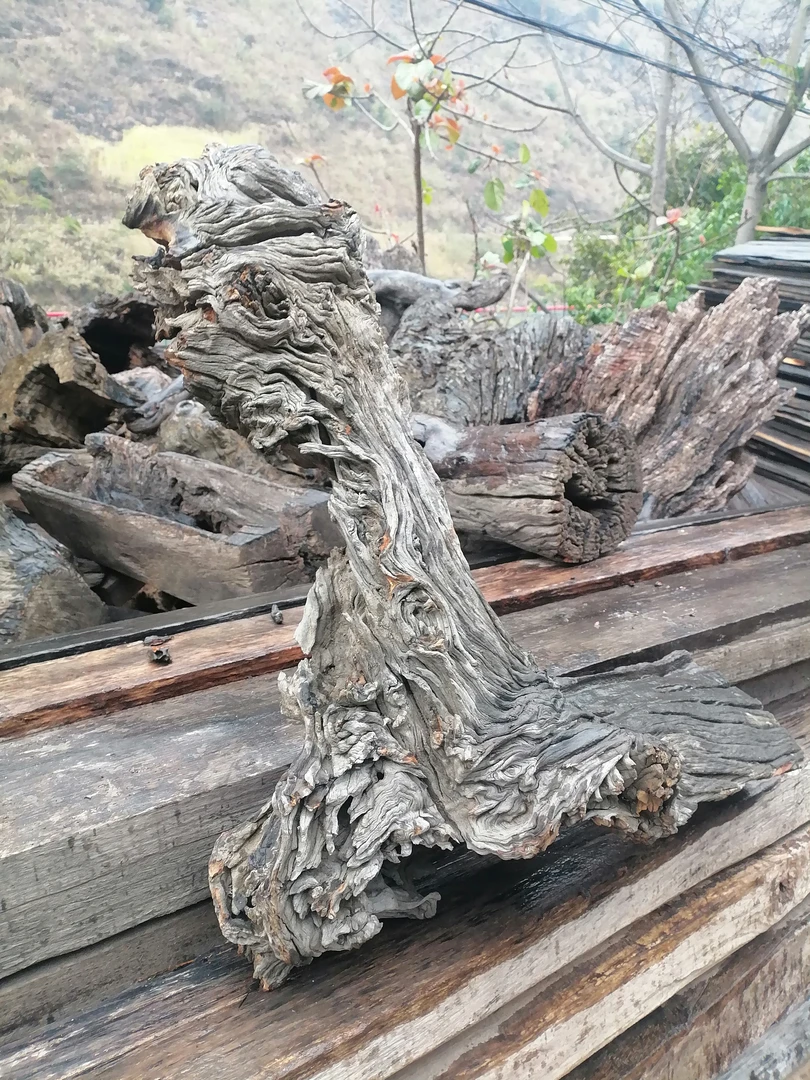 风化木源头欢迎你