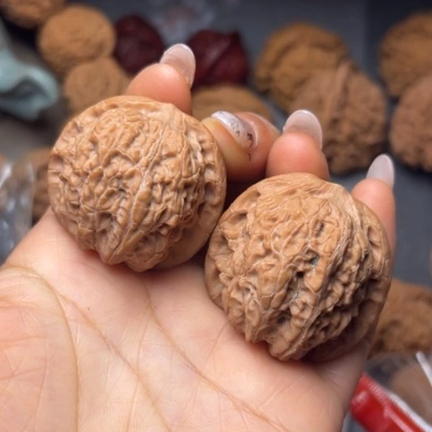 文玩核桃吊坠血麒麟