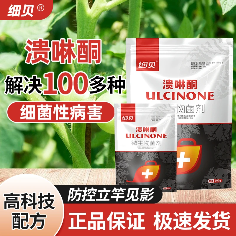 细贝微生物菌剂溃啉酮水溶肥溃疡叶面肥细菌叶斑病种苗种子有机肥