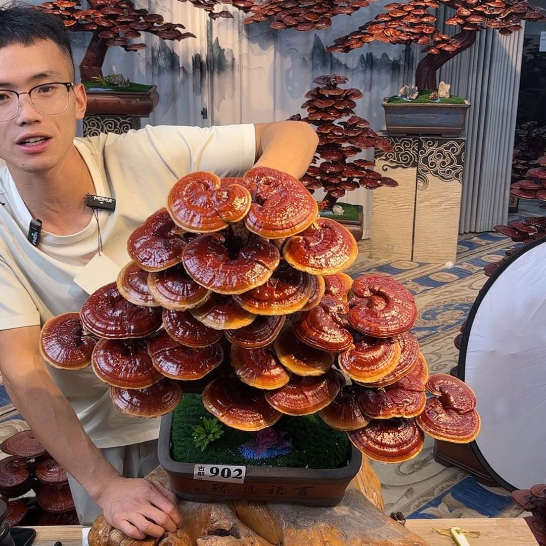 无花朵888888888888