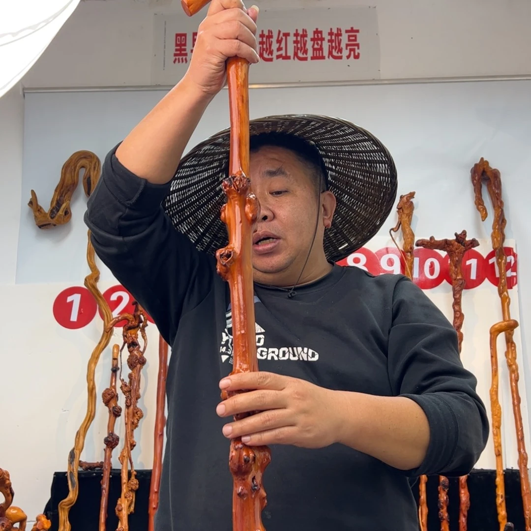 M***黎黑果木其他黑果木559