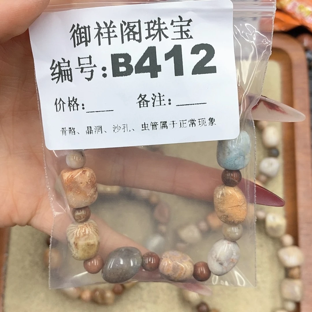 硅化珊瑚（珊瑚玉）颈饰未镶嵌玖*