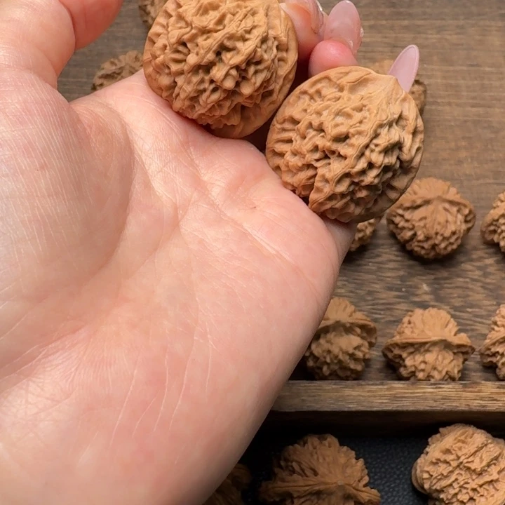 全品33秦闷狮子头不退不换