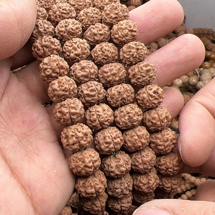 金刚菩提手串燃**雪树魔