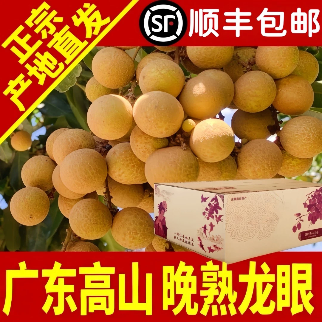 （顺丰次日达）晚熟储良石硖龙眼广东茂名高山老树新鲜当季水果纯甜时令鲜嫩多汁