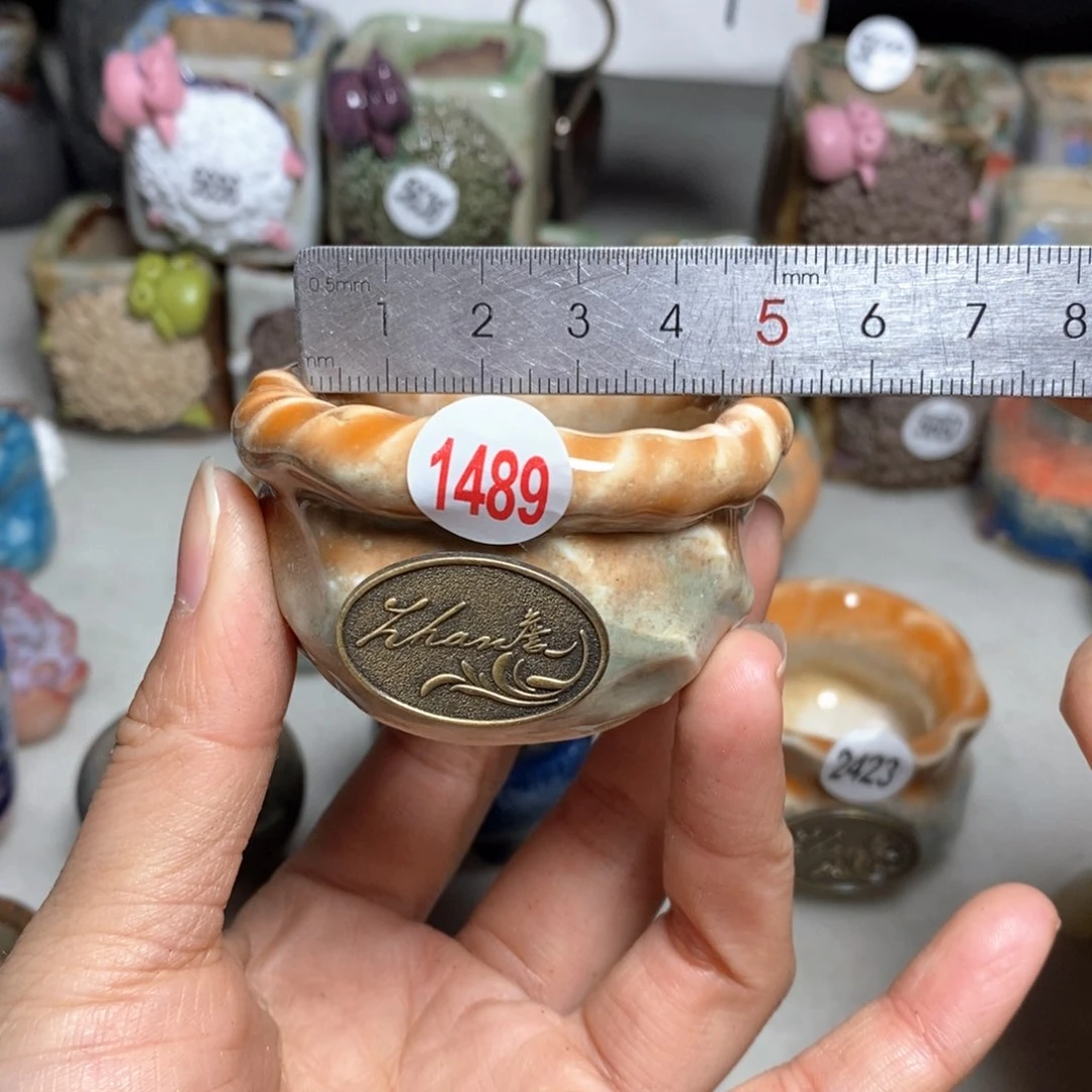 拍5送一个小礼物