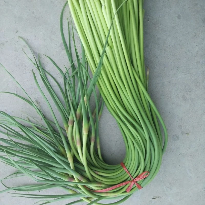 【云货心选】农家蒜苔