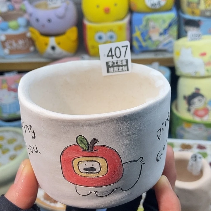 大舅生石花肉锥407