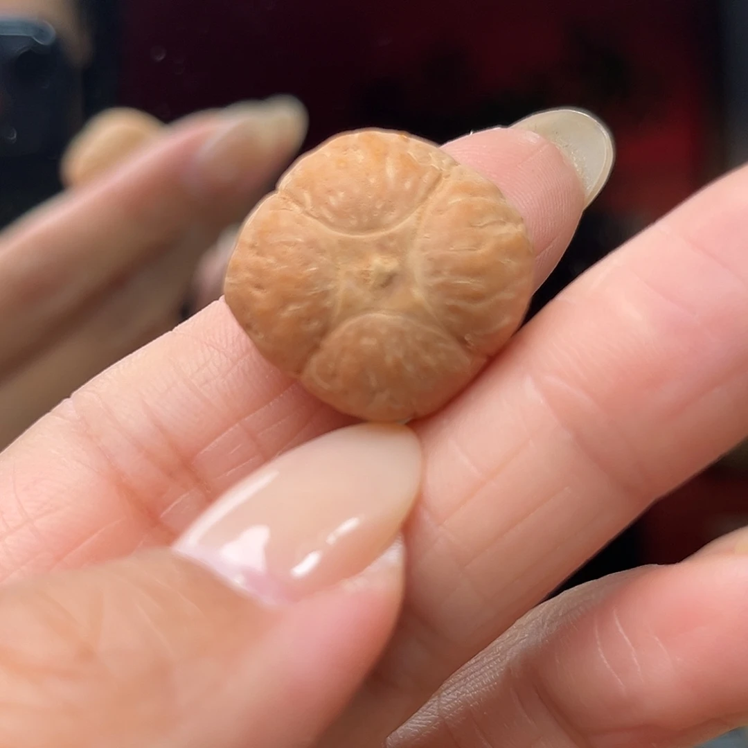 s****手串凤眼菩提精品凤眼菩提