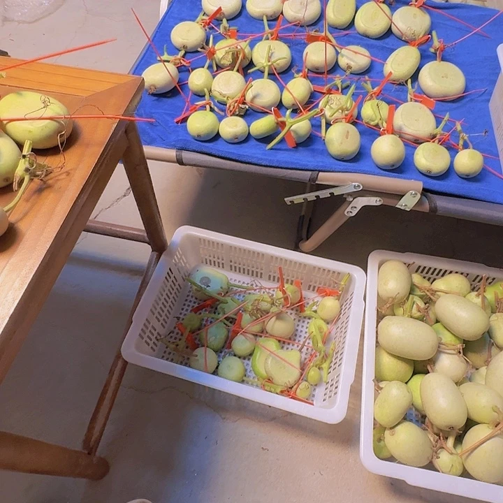 富***了馥郁芬芳国家科技攻关