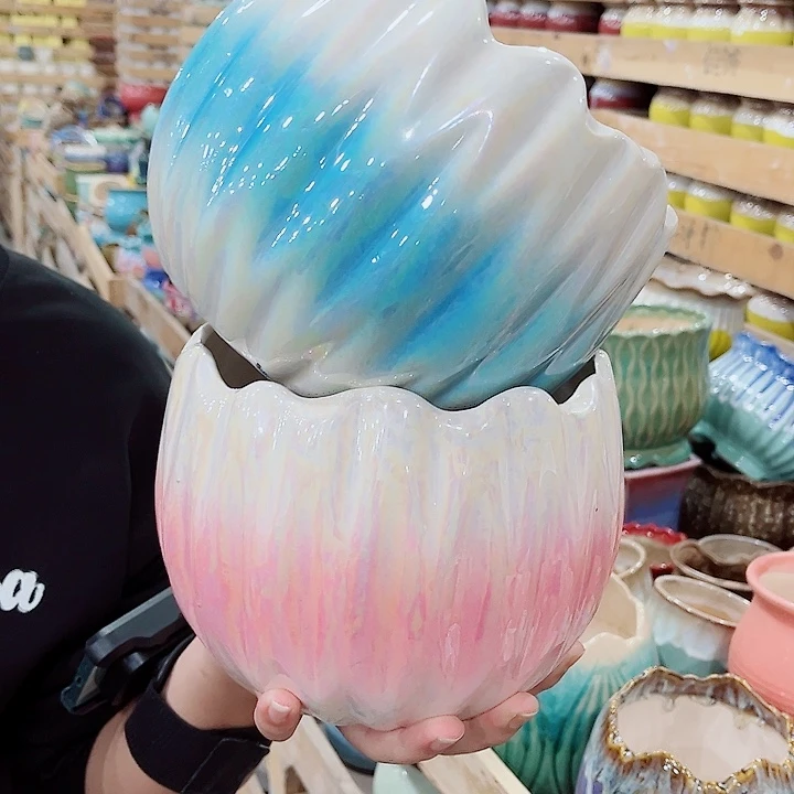 花盆有孔！凑满10米包由！