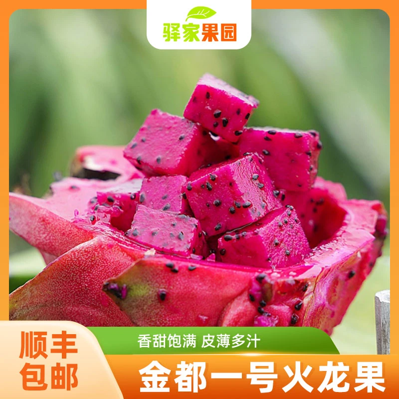 【顺丰直发】【金都一号火龙果】400g清甜水润，肉厚饱满，新鲜采摘