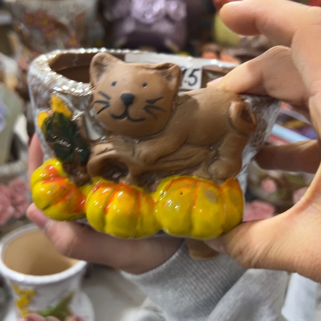 花盆，满20米发货爱退款拉黑