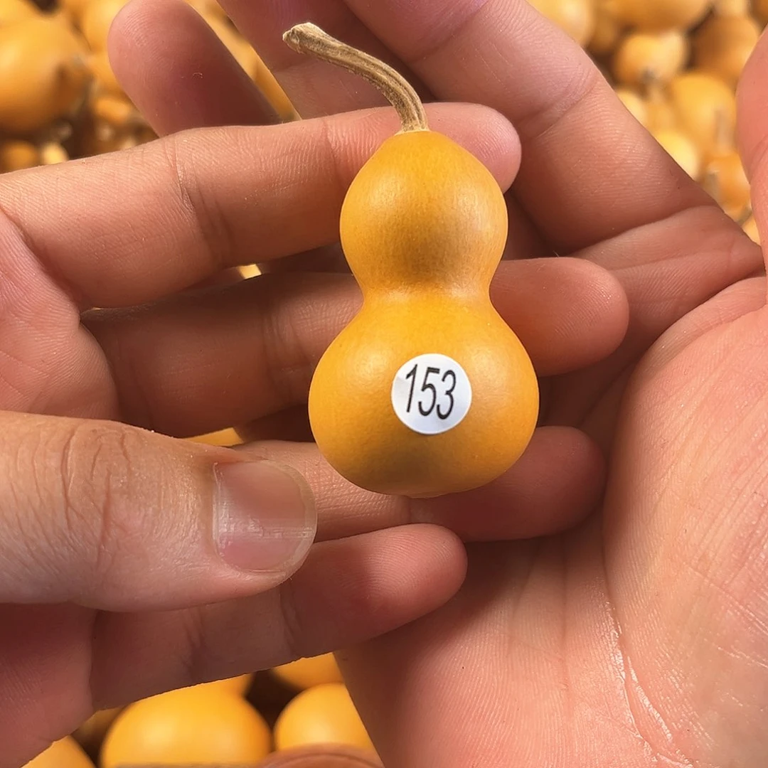 二葫芦葫芦葫芦葫芦葫芦153