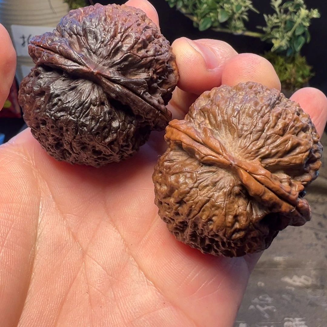 吊坠文玩核桃荔枝纹铁狮子43mm