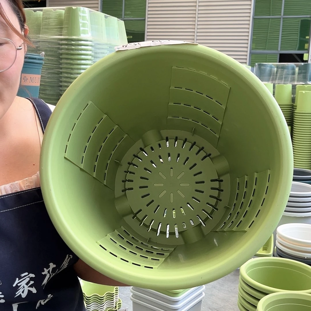 玫瑰盆370米白色4个无托