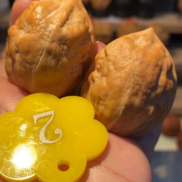 马头琴39尺寸，树头毕业对