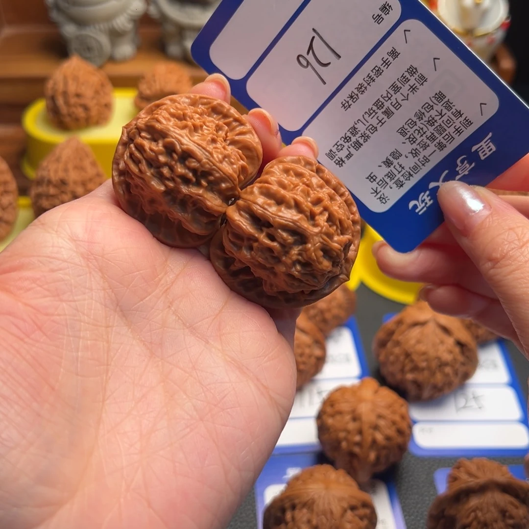 核桃126精修白狮子40尺