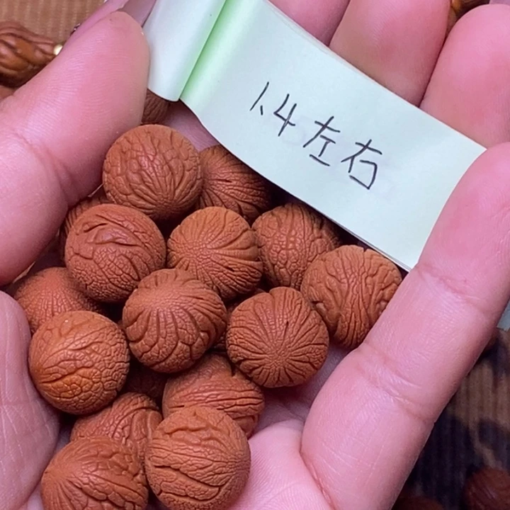 核桃秦岭龙纹桃核