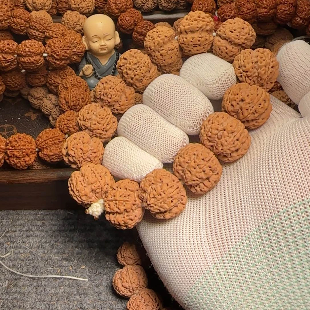 菩提金刚菩提24深沟梅花