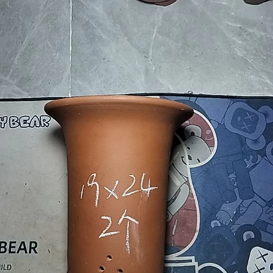 大红兰花两个花盆