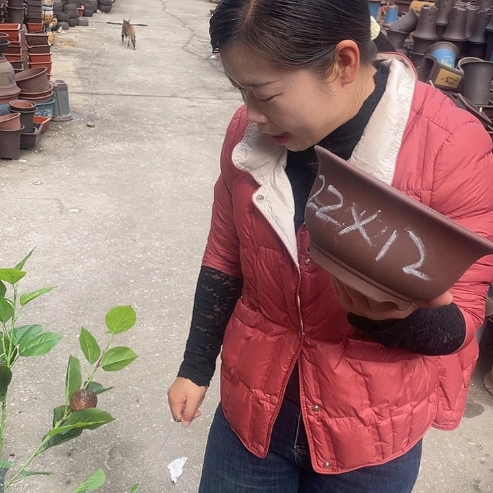 21查林小碗盆花盆紫砂花盆紫砂花盆