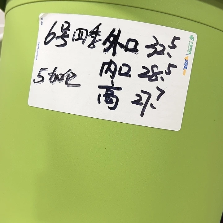 四季6号特价白色5个无托