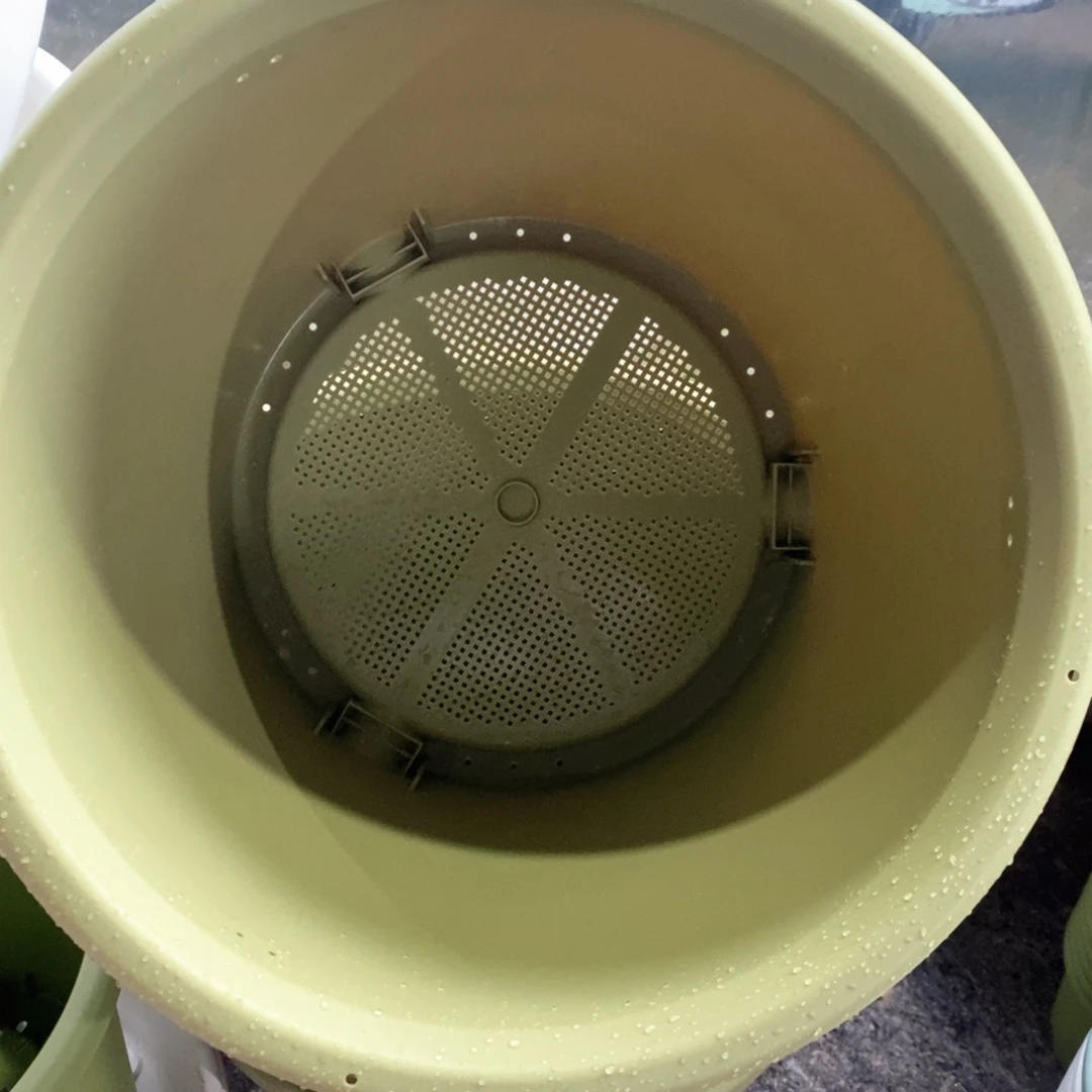 3个爱丽丝14号果绿色无托（46.5×40.2）