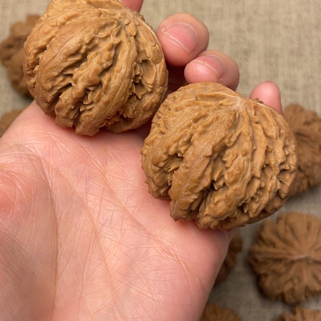 方***龙核桃秦岭核桃43号