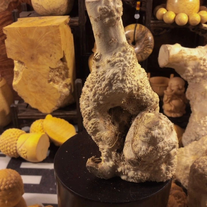 木m***a木料努力努力努力