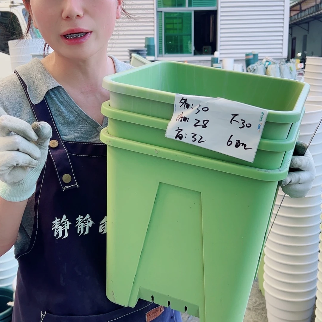 方盆F30果绿3个无托