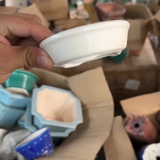 buyongji小时候是在看动画