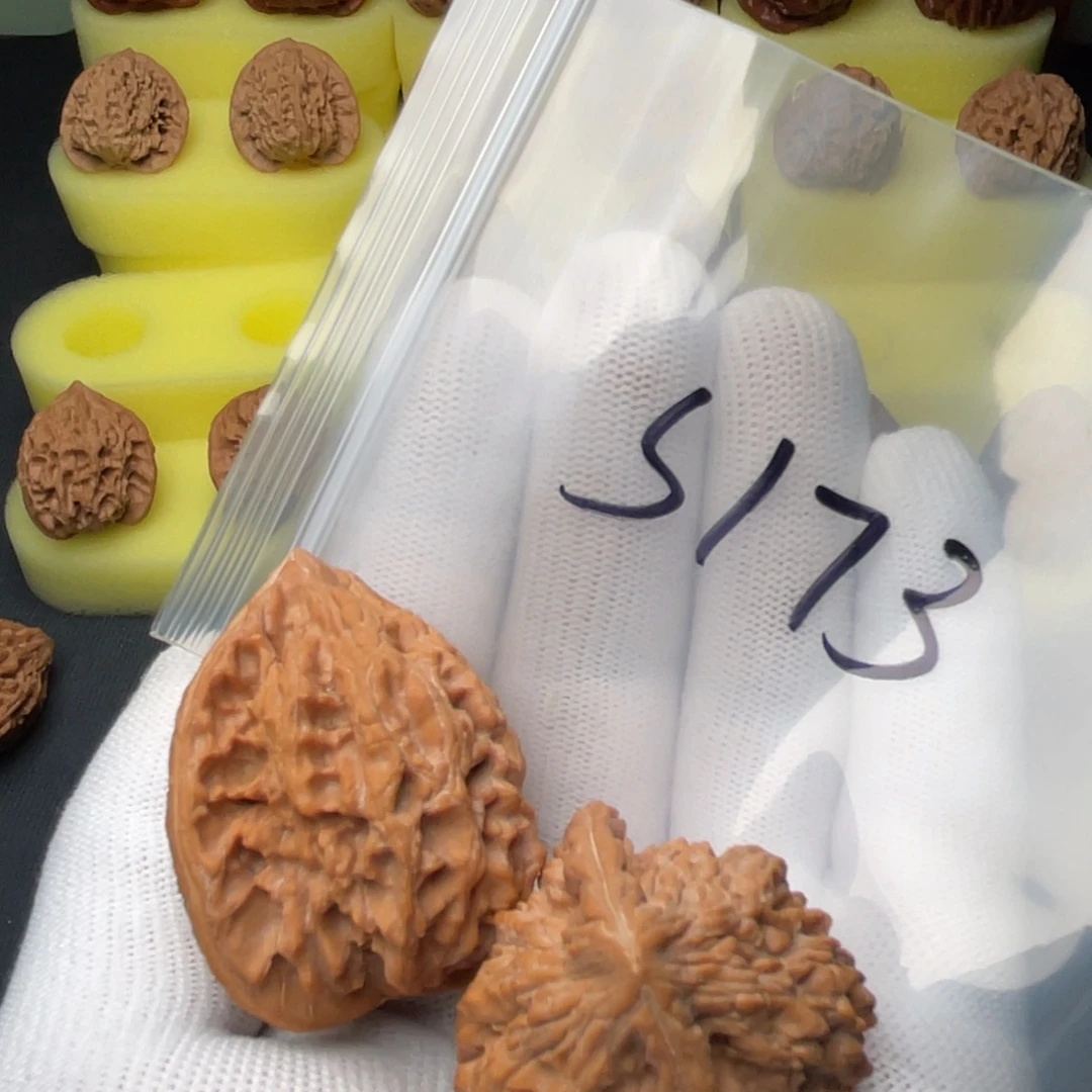 澳***瓜文玩核桃把件十三鸡心全品39