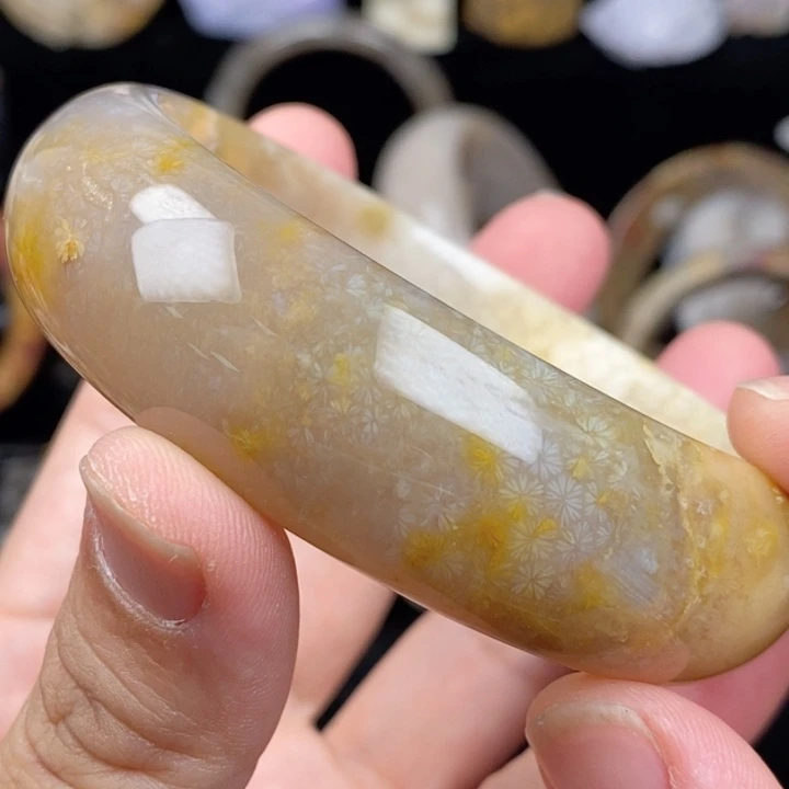未镶嵌手镯（圆镯）硅化玉61