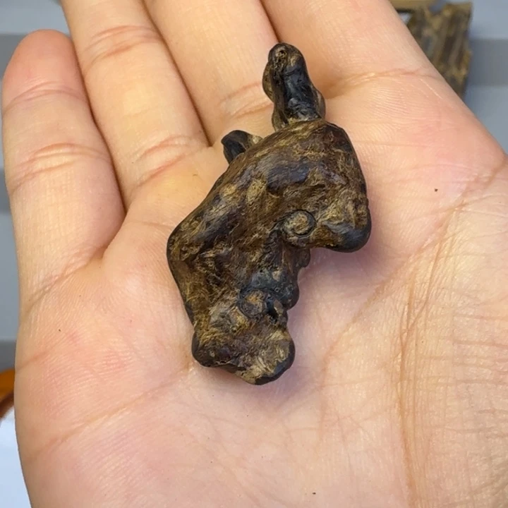 伟业香堂文莱沉水灵芝3.5克