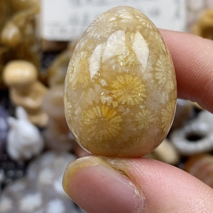 颈饰未镶嵌硅化珊瑚（珊瑚玉）