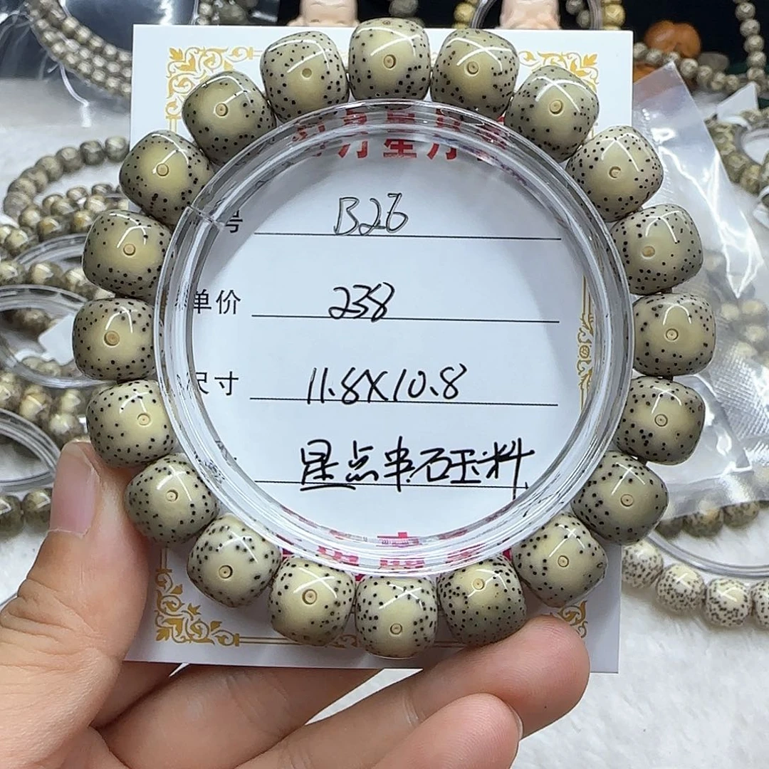 你****了心月星月菩提一号B26
