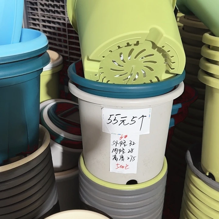 四季6#口径32高27无托果绿10个