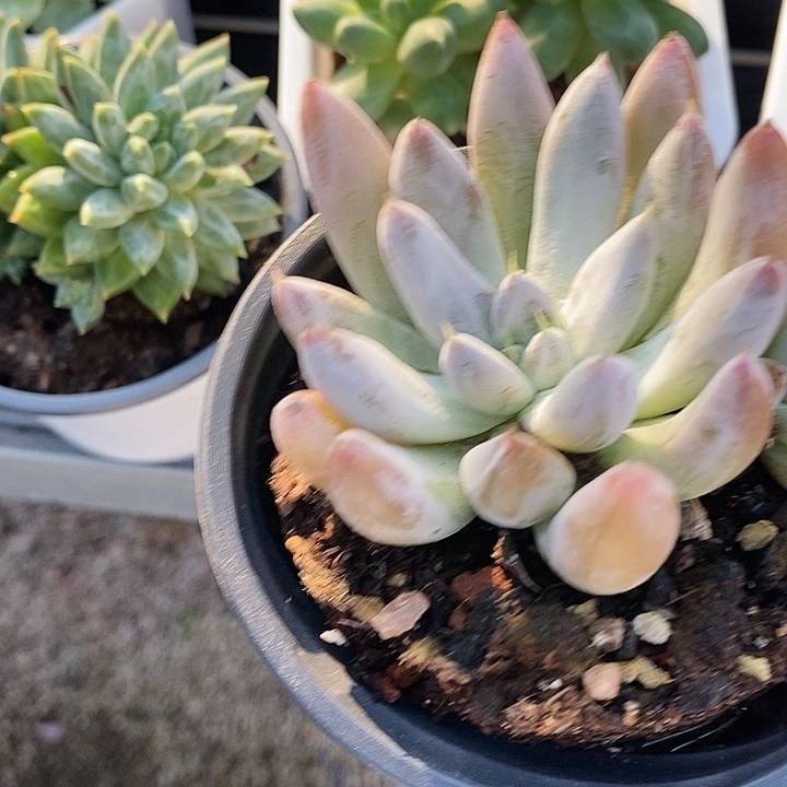 肚里万25578@k l l k n n