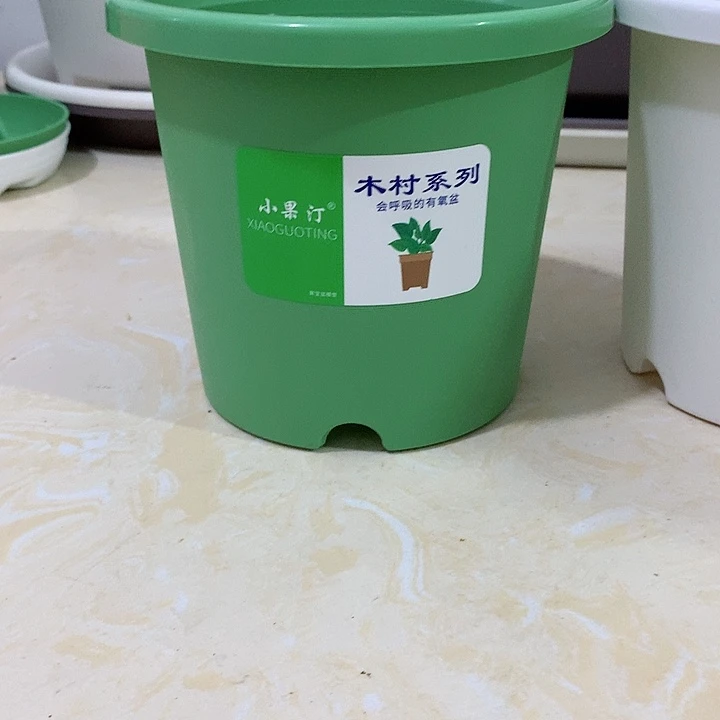 小果汀15口绿10个无托
