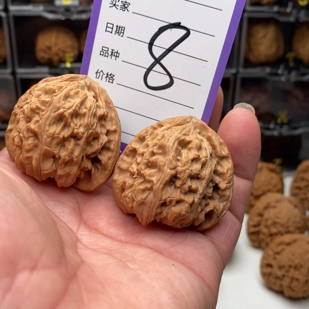 马*宇41全品三角白狮子头