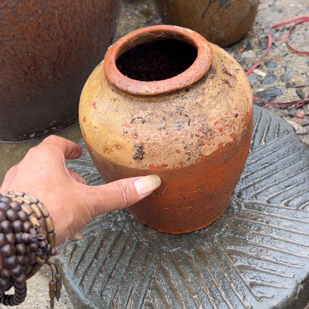 ****斯种花一物一拍包邮